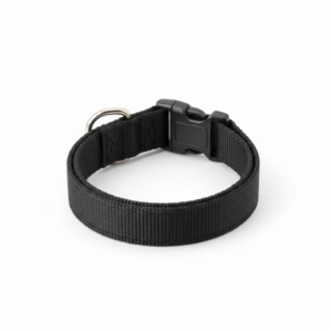Stainless Ring Webbing Collar — Medium