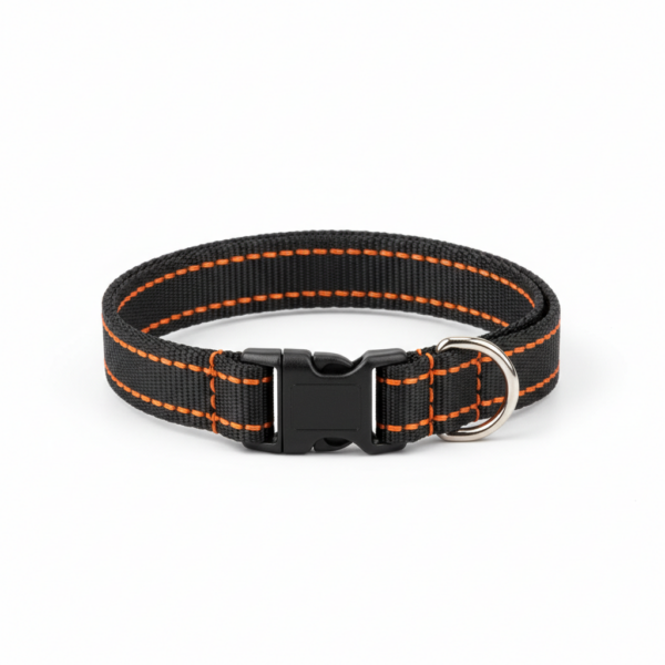 Reflective Night-Walk Collar — Adjustable